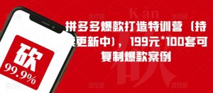 拼多多爆款打造特训营(持续更新中),199元*100套可复制爆款案例-学习资源库