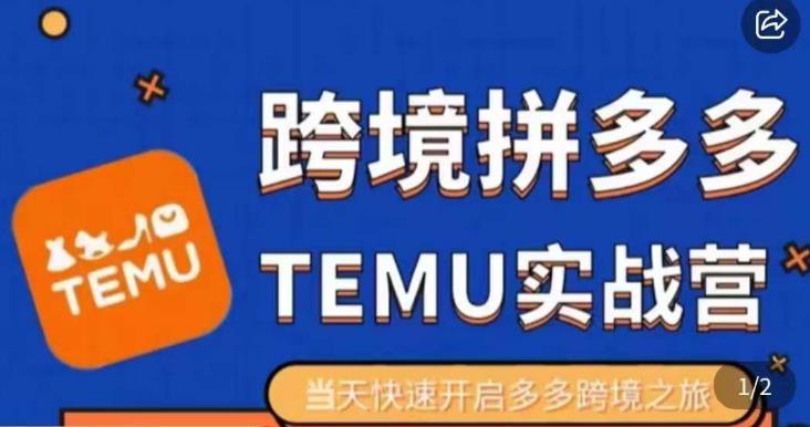 大鹏出海·拼多多跨境temu运营指导，开店注册+选品+核价上架，日出千单实战课-学习资源库