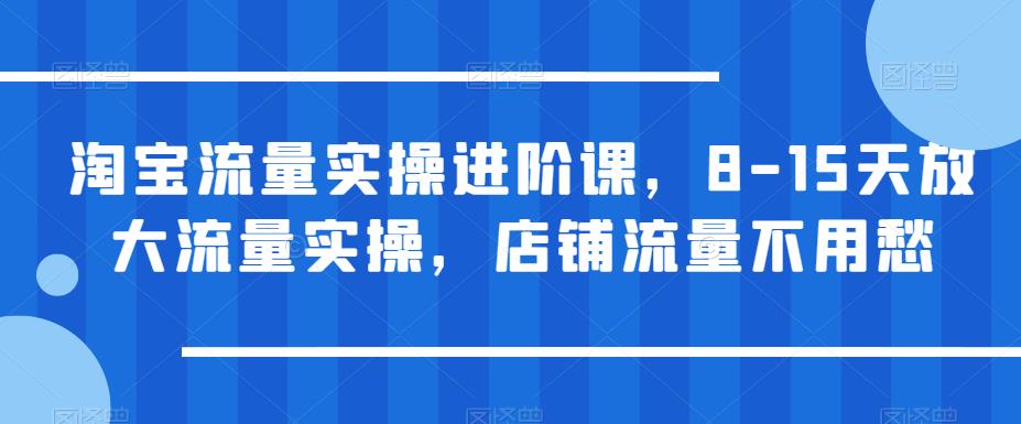 淘宝流量实操进阶课，8-15天放大流量实操，店铺流量不用愁-学习资源库