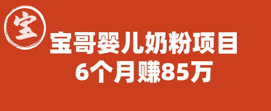 宝哥婴儿奶粉项目，6个月赚85w【图文非视频】【揭秘】-学习资源库