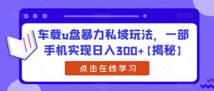 车载u盘暴力私域玩法,一部手机实现日入300+【揭秘】-学习资源库