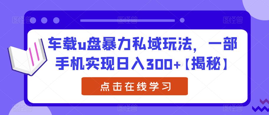 车载u盘暴力私域玩法，一部手机实现日入300+【揭秘】-学习资源库