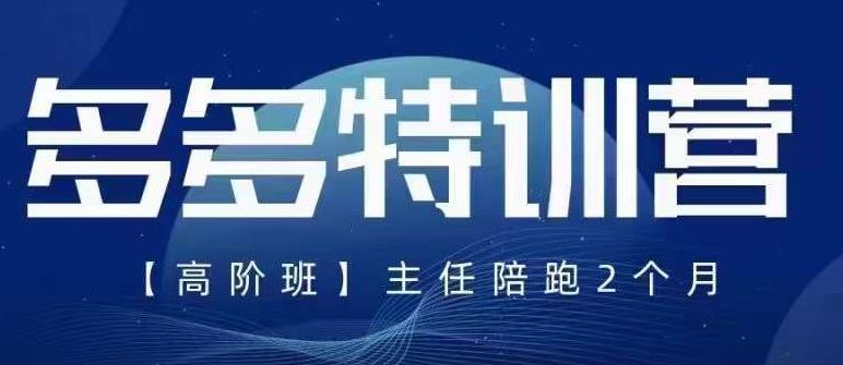 纪主任·5月最新多多特训营高阶班，玩法落地实操，多多全掌握-学习资源库