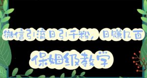 微信互推圈半自动引流方案,矩阵操作日引千人思路【详细视频教程】-学习资源库