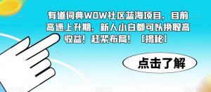 有道词典WOW社区蓝海项目,目前高速上升期,新人小白都可以换取高收益!赶紧布局!【揭秘】-学习资源库