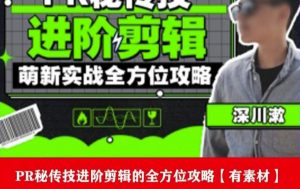 PR进阶剪辑培训班,让你快速成为剪辑大师12节视频课程+素材!-学习资源库