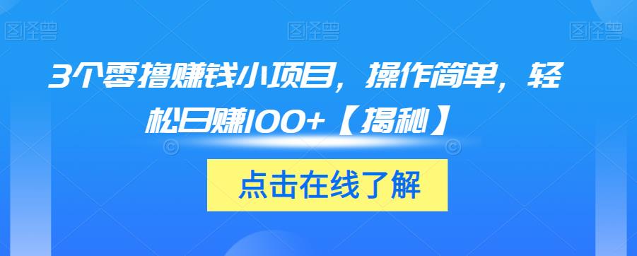 3个零撸赚钱小项目，操作简单，轻松日赚100+【揭秘】-学习资源库
