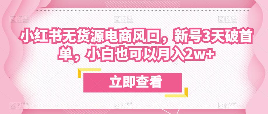 众狼电商余文小红书无货源电商风口，新号3天破首单，小白也可以月入2w+-学习资源库