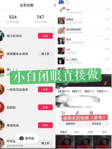 一天做完别一辈子的视频制作最近很火的《1000个野路子信息差》100%过原创【揭秘】-学习资源库