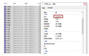 虚拟资源全自动成交系统,从0到1保姆级详细教程-学习资源库