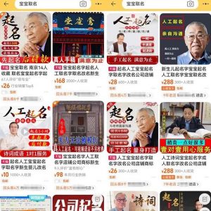 拆解小红书宝宝起名虚拟副业项目,一条龙实操玩法分享给你(教程+软件)-学习资源库