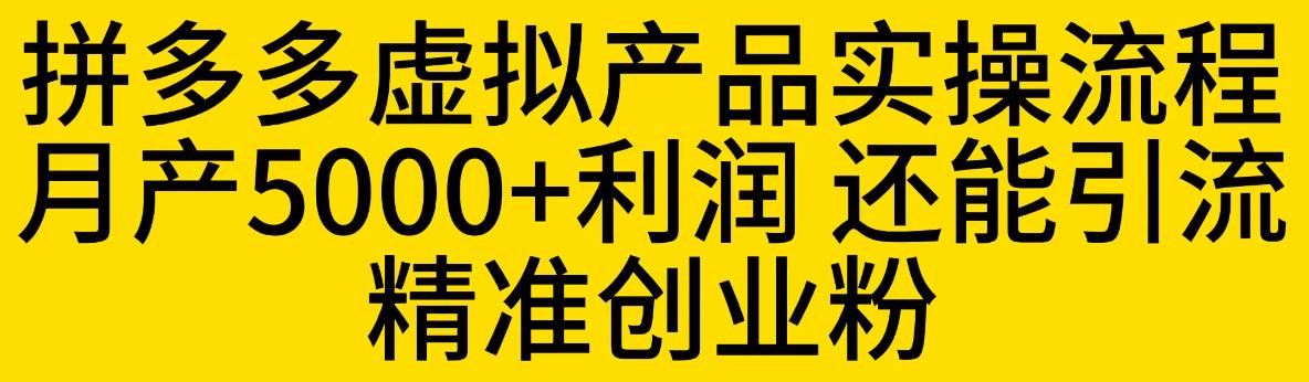 拼多多虚拟产品实操流程，月产5000+利润，还能引流精准创业粉【揭秘】-学习资源库