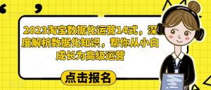2023淘宝数据化运营14式,深度解析数据化知识,帮你从小白成长为高级运营-学习资源库