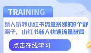 新人玩转小红书流量暴涨的8个野路子，小红书新人快速流量破局-学习资源库