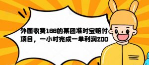 外面收费188的美团准时宝赔付项目，一小时完成一单利润200【仅揭秘】-学习资源库