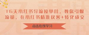 16天小红书导流接单营,教你引爆流量,在小红书精准获客+转化成交-学习资源库