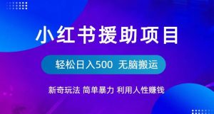 小红书援助项目新奇玩法，简单暴力，无脑搬运轻松日入500【揭秘】-学习资源库