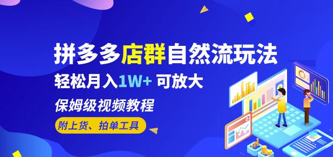 拼多多店群自然流玩法，轻松月入1W+保姆级视频教程（附上货、拍单工具）-学习资源库