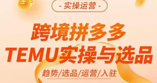 伍跃·跨境拼多多TEMU实操与选品，​趋势/选品/运营/入住（27节完整）-学习资源库