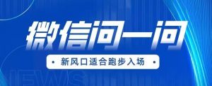 全网首发微信问一问新风口变现项目(价值1999元)【揭秘】-学习资源库