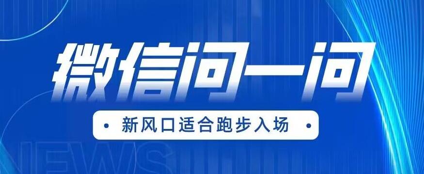 全网首发微信问一问新风口变现项目（价值1999元）【揭秘】-学习资源库