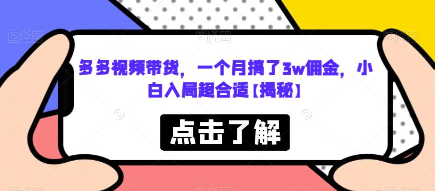 多多视频带货，一个月搞了3w佣金，小白入局超合适【揭秘】-学习资源库