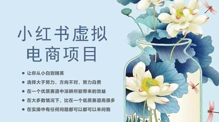 小红书虚拟电商从0到1，让你从小白到精英（20节实操课程）-学习资源库