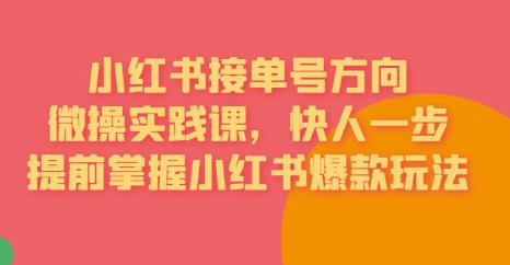 接单号方向·小红书微操实践课，快人一步，提前掌握小红书爆款玩法-学习资源库