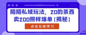陌陌私域玩法，20的茶西卖200照样爆单【揭秘】-学习资源库