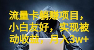 流量卡躺赚项目,小白友好,开设后台,实现被动收益,只要出卡,就能一直赚钱,利润高昂【揭秘】-学习资源库