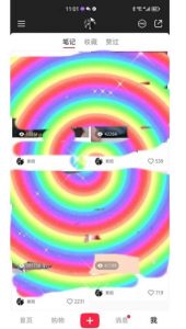 冷门高利润项目，小红书带货，无脑搬运，一部手机实现日入500+【揭秘】-学习资源库