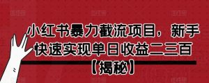 小红书暴力截流项目,新手快速实现单日收益二三百【仅揭秘】-学习资源库