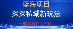 蓝海项目,探探私域新玩法,一部手机日入500+很轻松【揭秘】-学习资源库