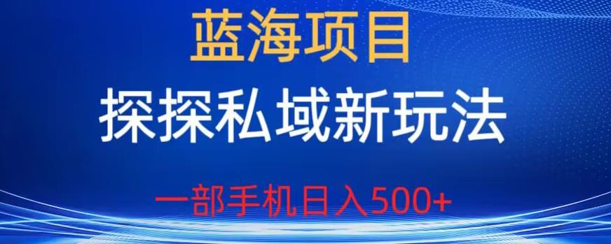 蓝海项目，探探私域新玩法，一部手机日入500+很轻松【揭秘】-学习资源库