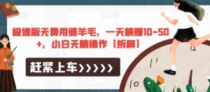 极速版无费用薅羊毛,一天躺赚10-50+,小白无脑操作【拆解】-学习资源库