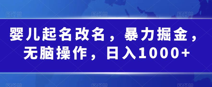 婴儿起名改名，暴力掘金，无脑操作，日入1000+【揭秘】-学习资源库