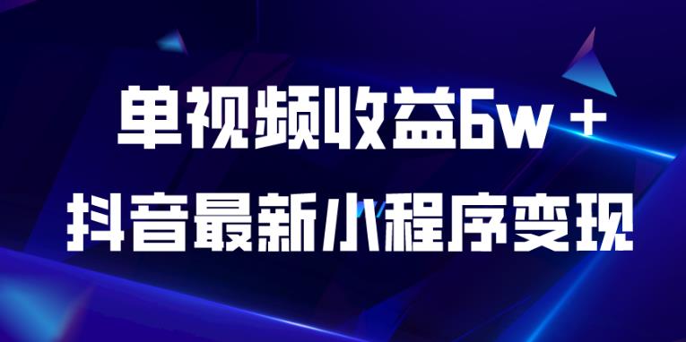 抖音最新小程序变现项目，单视频收益6w＋，小白可做【揭秘】-学习资源库