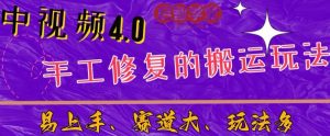 中视频4.0赛道:新手福音,一小时制作,三天过计划,7天看效果【揭秘】-学习资源库