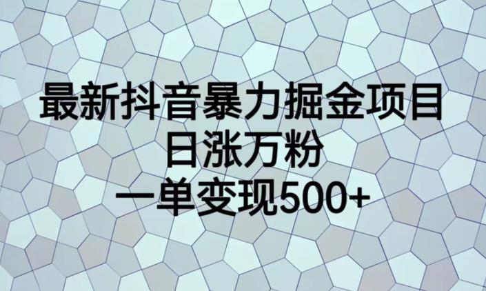 最新抖音暴力掘金项目，日涨万粉，一单变现500+【揭秘】-学习资源库