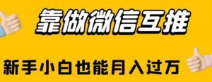 靠做微信互推,新手小白也能月入过万【揭秘】-学习资源库