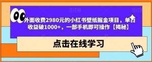 外面收费2980元的小红书壁纸掘金项目,单日收益破1000+,一部手机即可操作【揭秘】-学习资源库