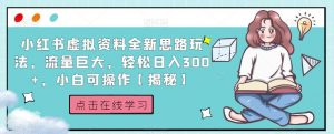 小红书虚拟资料全新思路玩法,流量巨大,轻松日入300+,小白可操作【揭秘】-学习资源库