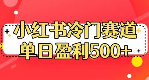 小红书冷门赛道,单日盈利500+【揭秘】-学习资源库
