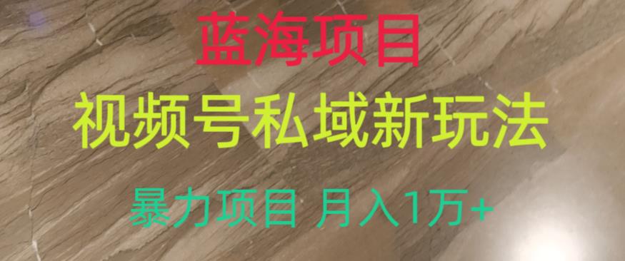 蓝海项目，视频号私域新玩法，暴力项目月入1万+【揭秘】-学习资源库