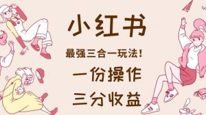 小红书最强三合一玩法，一份操作获得三份收益！【揭秘】-学习资源库