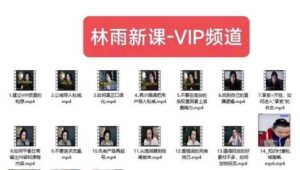 林雨新课VIP频道，玩赚私域/朋友圈/社群-学习资源库