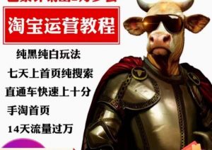 猫老师·淘系算法逆向解密，​纯黑纯白玩法，七天上首页纯搜索，手淘首页14天流量过万-学习资源库