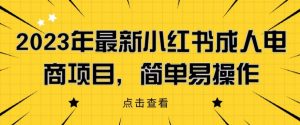 2023年最新小红书成人电商项目,简单易操作【详细教程】【揭秘】-学习资源库