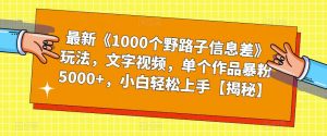 最新《1000个野路子信息差》玩法，文字视频，单个作品暴粉5000+，小白轻松上手【揭秘】-学习资源库