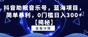 抖音助眠音乐号,蓝海项目,简单暴利,0门槛日入300+【揭秘】-学习资源库
